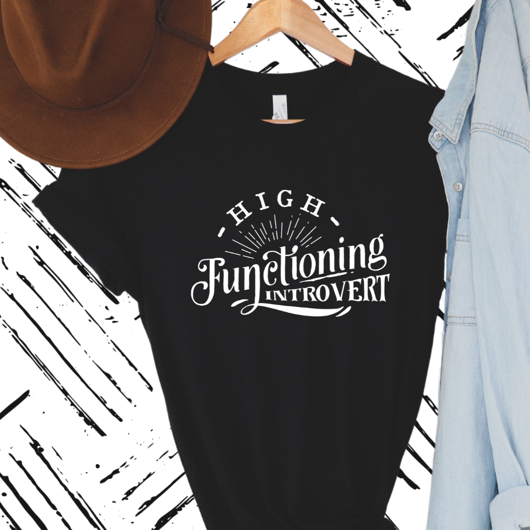 High functioning introvert