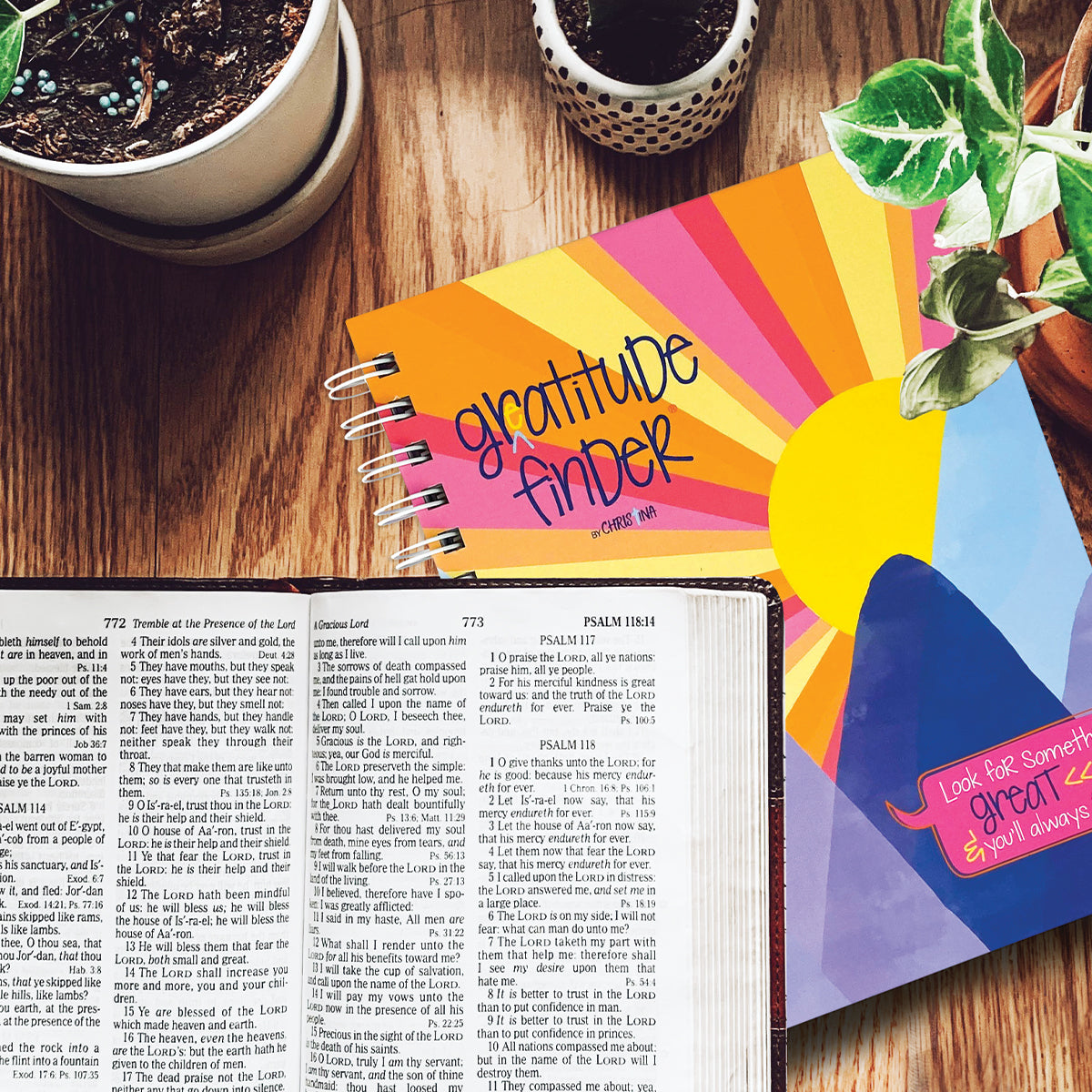 Faith Based Gratitude Finder® Journals - Denise Albright®