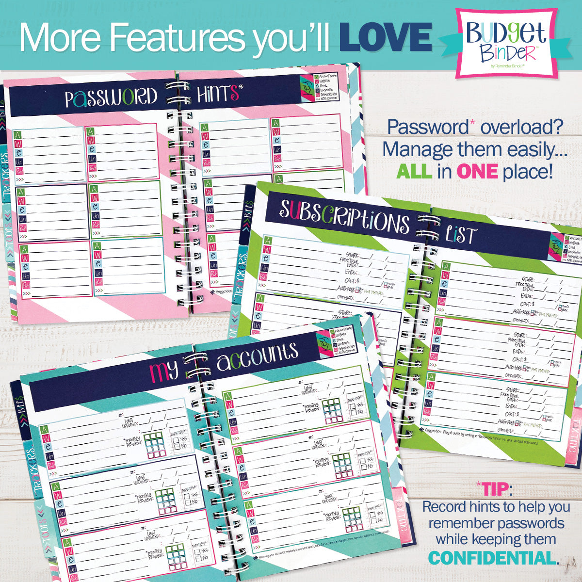 Budgeting Bundle | Budget Binder Planner + Accessories - Denise Albright®