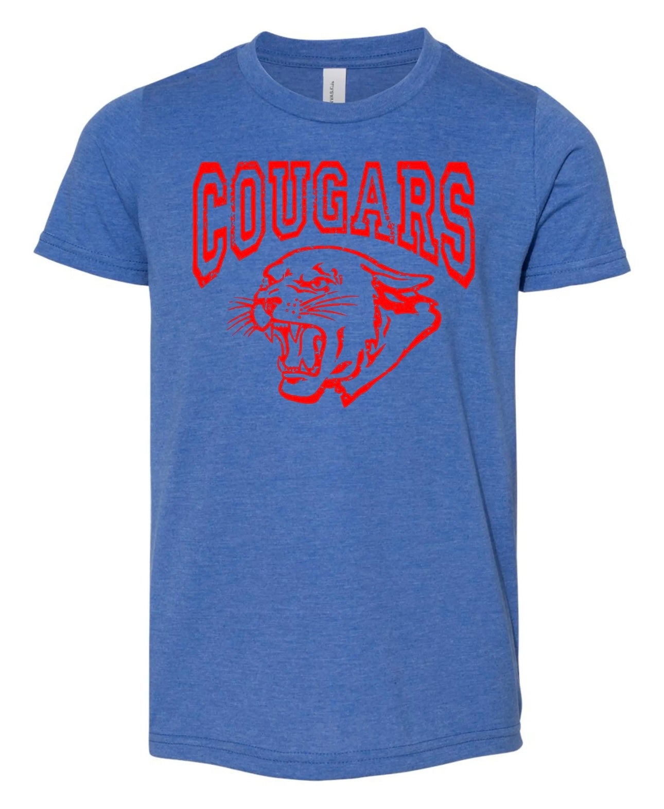 Vintage Wash Mascot Tee