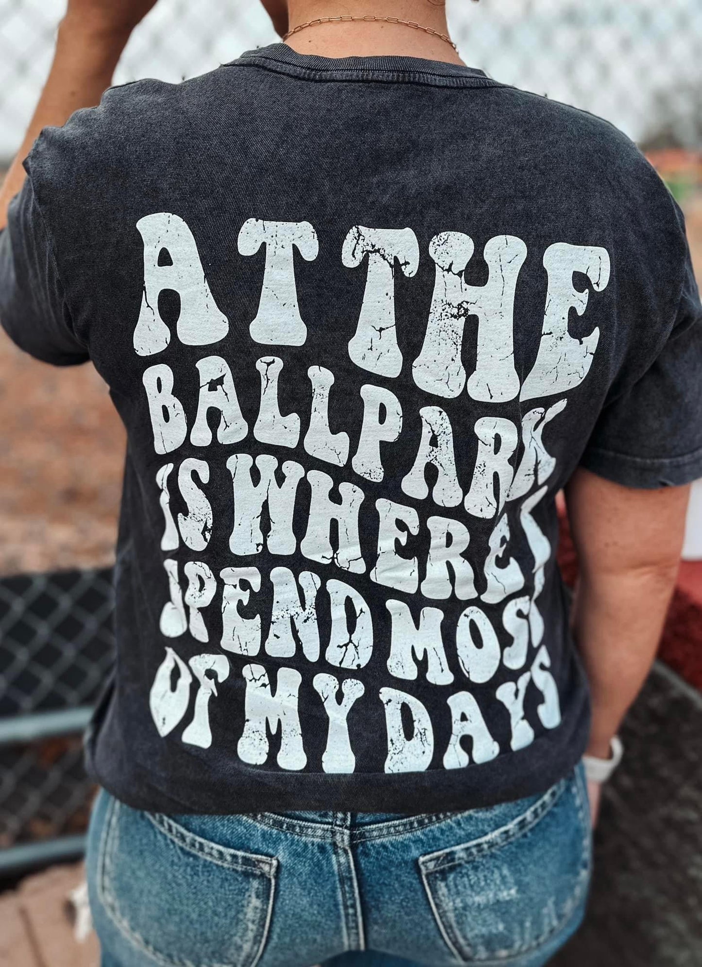 At the Ballpark