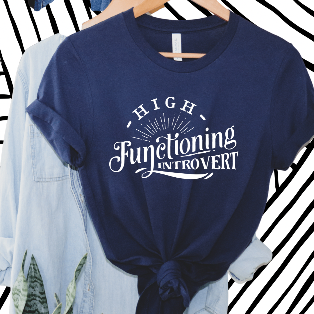 High functioning introvert