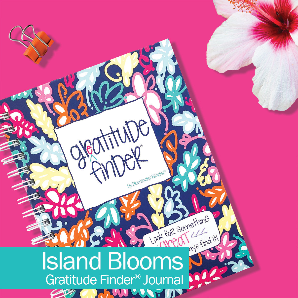 Gratitude Finder® Gift Kit - Denise Albright® 