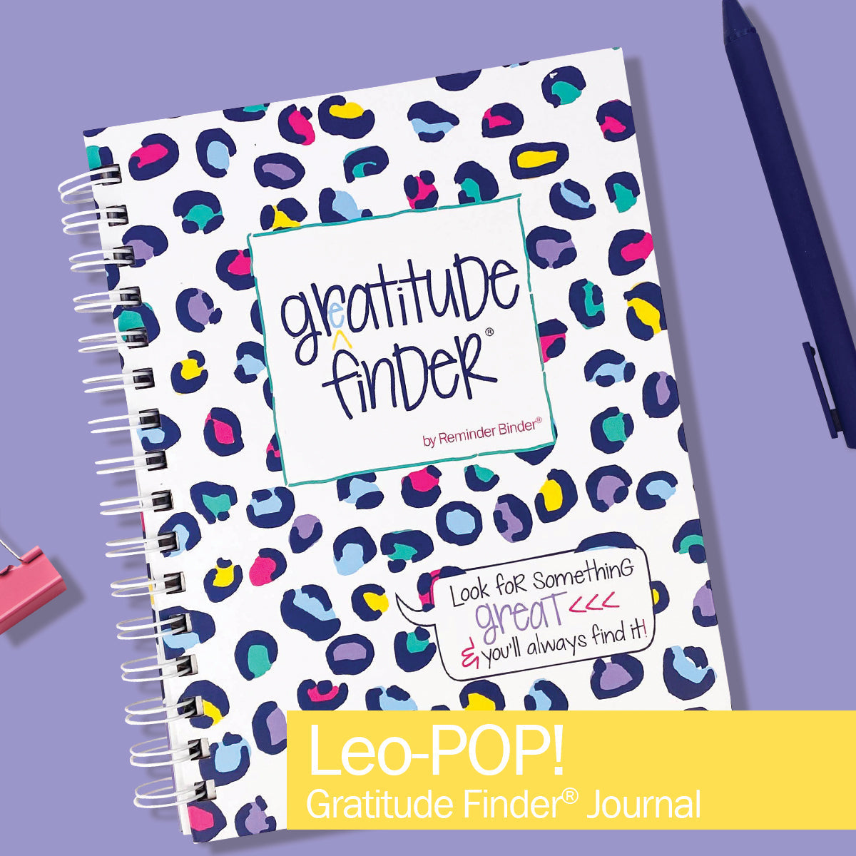 Gratitude Finder® Gift Kit - Denise Albright® 