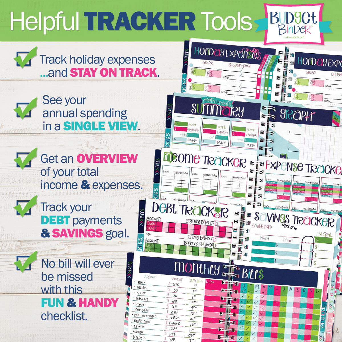 Budgeting Bundle | Budget Binder Planner + Accessories - Denise Albright® 
